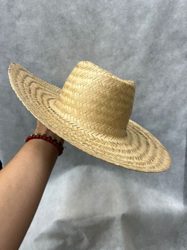 CHAPEU PALHA N2